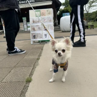 THE SECONDで癒しの休日。愛犬と過ごす、那須のプライベートヴィラ_1_1-2