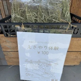 磯沼牧場のえさやり体験の写真