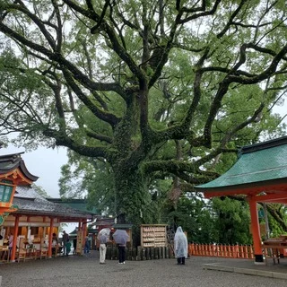 和歌山　熊野詣り