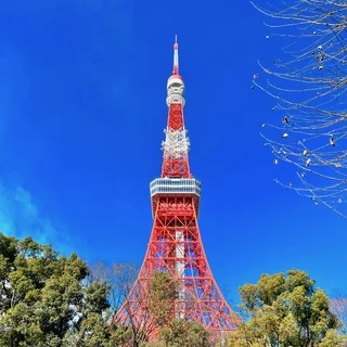 東京タワーが大人っぽくなっていた話。