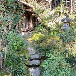 イマドキの会食にオススメの「うかい竹亭」。東京で野山の自然と季節を味わう。