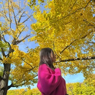 もうすぐ見頃！立川【昭和記念公園】のイチョウ並木_1_2