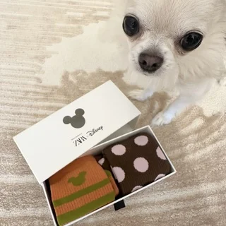 ZARA × Disney、ハリー・ランバートの世界観が最高に洒落てる!_1_2
