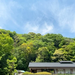 箱根の温泉、天山
