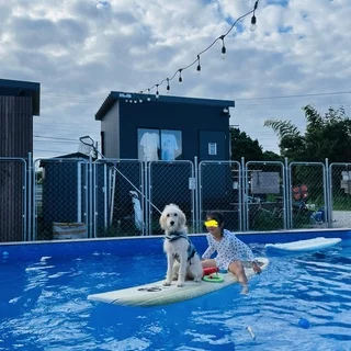 愛犬家さんにオススメ。ワンちゃんと一緒に入れるプール！