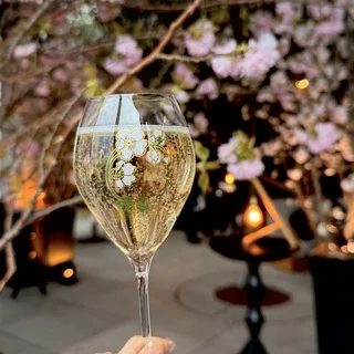 アンダーズ 東京で夜桜を満喫！東京タワーを臨む春限定ルーフトップ バー体験レポ