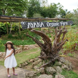 AYANA Resort Bali アヤナリゾートバリ　Farm Walk