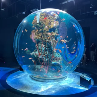 【神戸】最高気温37℃！屋内で楽しむフォトジェニックな水族館