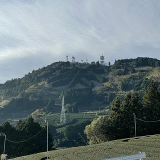 身も心もお茶にどっぷりつかる静岡ツアー！_1_14-1