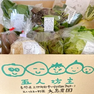 【お取り寄せ有機野菜】信州中川村の五人坊主に感動！