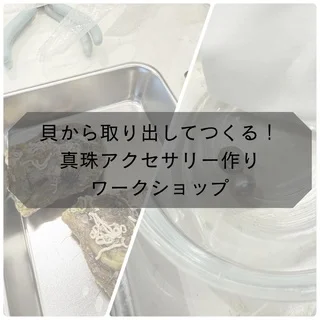 貝から取り出してつくる！真珠アクセサリーづくりワークショップ