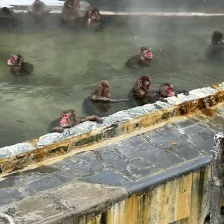 朝ごはんから帰り道まで、函館の続き_1_2-2