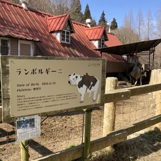 癒しと驚きの六甲山牧場_1_4-1
