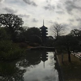 京都で新年の誓いを_1_1