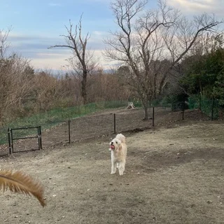 子供もワンコも一緒に。最近のお出かけ事情_1_3-2