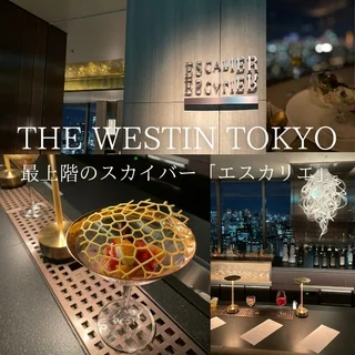 最上階の幻想的な空間スカイバー「エスカリエ」！『ウェスティンホテル東京』レポ完♪【40代のライフスタイル】