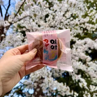 お花見のお供に、衝撃の青森土産【味噌バターカレー牛乳どら焼き】を。