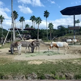 南紀白浜　アドベンチャーワールド