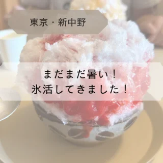 【東京・新中野】まだまだ暑い！氷活してきました！