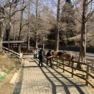 癒しと驚きの六甲山牧場_1_1-1