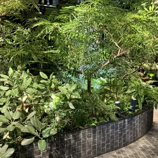 都会の中の“森レストラン”で春を味わう♡_1_1-3