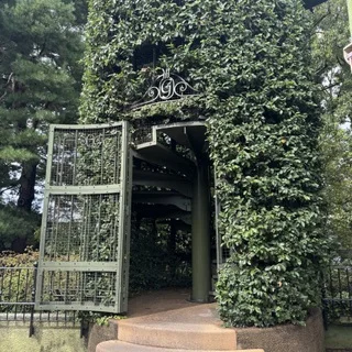 【子連れで楽しむ】三鷹の森ジブリ美術館_1_5