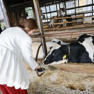 【広島ごほうび旅③】地元なのに知らなかった！進化と美味しさにびっくり_1_10-3
