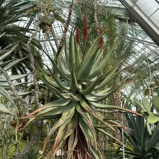 朝ごはんから帰り道まで、函館の続き_1_3-2