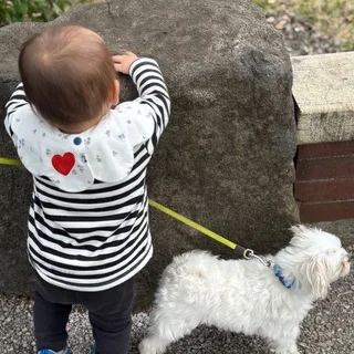 とうふ3歳に。フランス生まれの愛犬と欧州旅の記憶_1_18