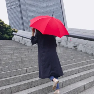 雨の日も、出かけたくなるレイングッズ♩