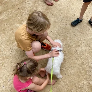 犬と外国の子供