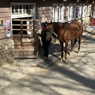 癒しと驚きの六甲山牧場_1_1-2