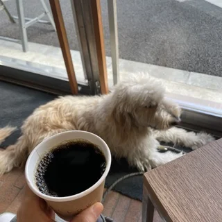 子供もワンコも一緒に。最近のお出かけ事情_1_4-1