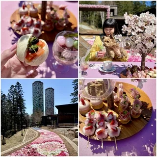 花咲くカーペットを眺めながら楽しむ“お花見団子アフタヌーンティー”