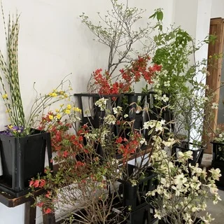 花道みささぎ流 家元・片桐先生のもとでならう、いけばなの時間_1_2-1