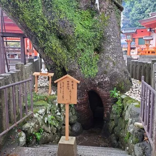 和歌山　胎内くぐり