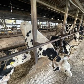 【広島ごほうび旅③】地元なのに知らなかった！進化と美味しさにびっくり_1_10-2