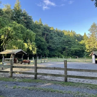 【宿泊記】星野リゾート 青森屋で心ほどける癒し旅。_1_5-3