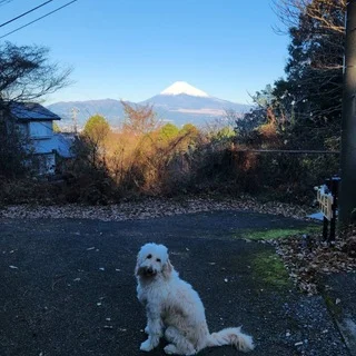 子供もワンコも一緒に。最近のお出かけ事情_1_2-3