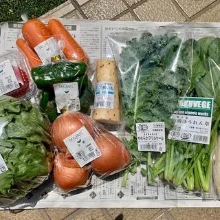 【お取り寄せグルメ】その3　有機野菜セット(9品)が736円！！！