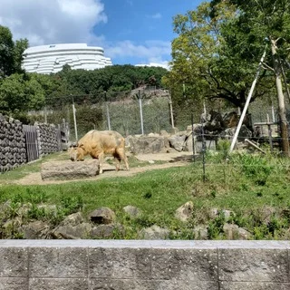 パンダも歴史も温泉も大満喫した和歌山・南紀白浜２泊3日家族旅行_1_5-2