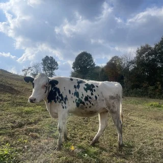【広島ごほうび旅③】地元なのに知らなかった！進化と美味しさにびっくり_1_11-1