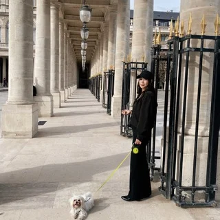 パリ散歩中の犬