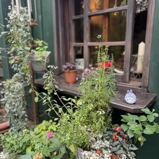 【子連れで楽しむ】三鷹の森ジブリ美術館_1_3