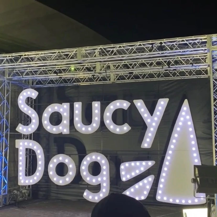 ６月１６日、大阪城ホールで行われたSaucy Dogさんのライブです。