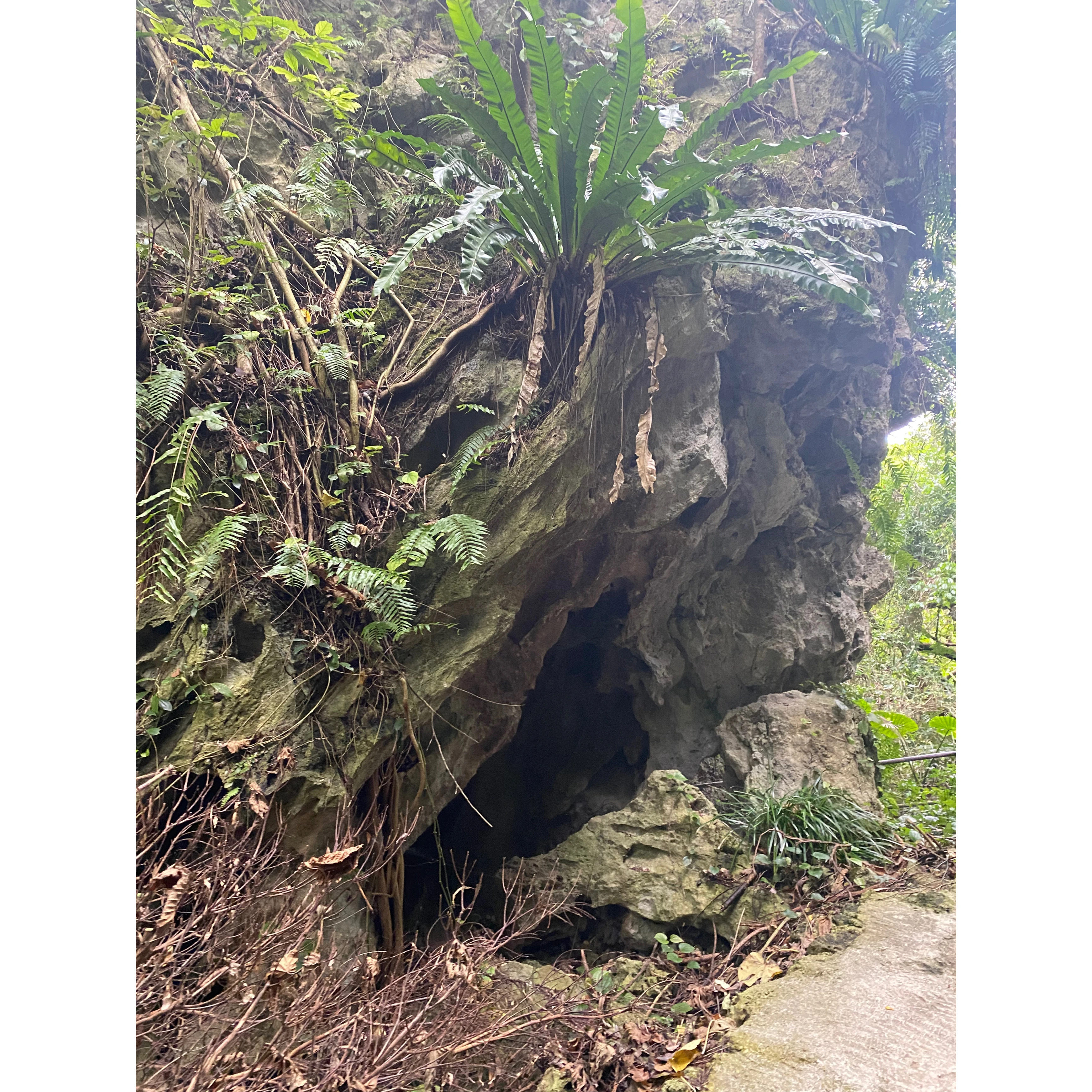沖縄　洞窟　ガンガラーの谷