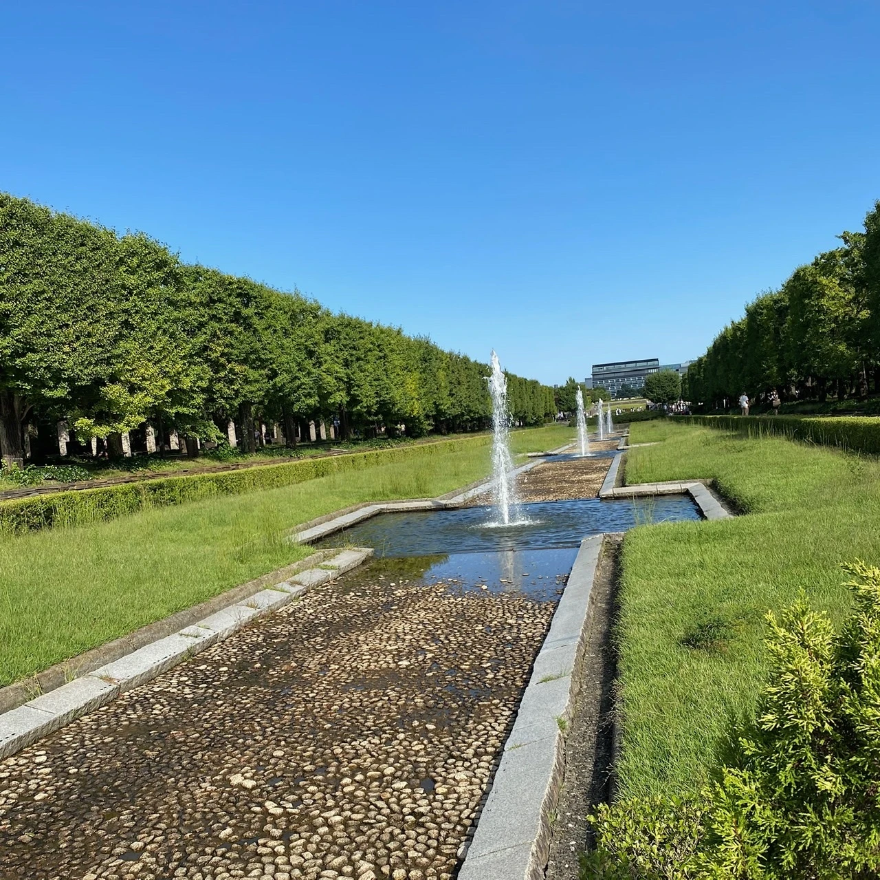 昭和記念公園　噴水　入口