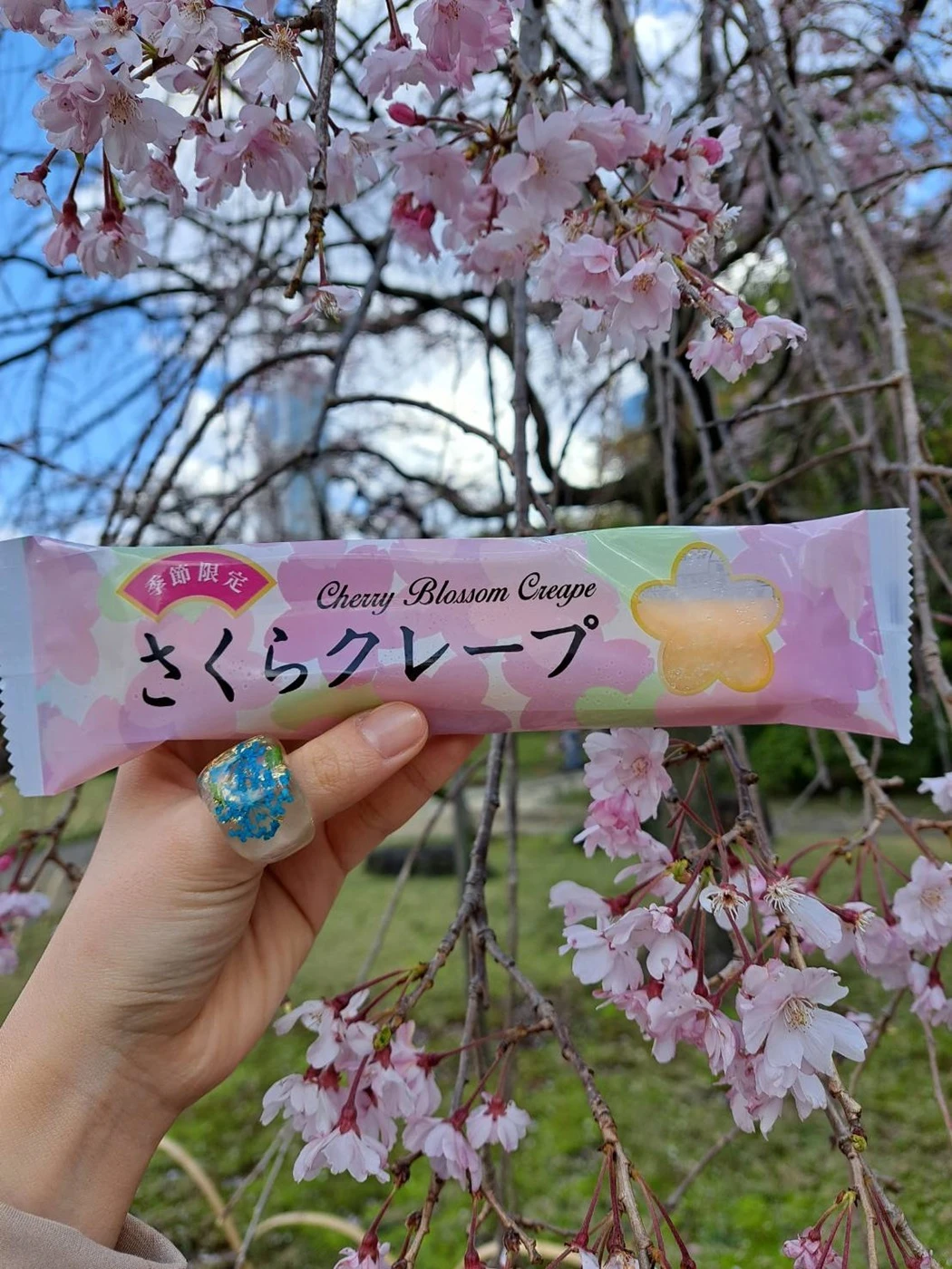 小石川後楽園　桜　さくらクレープ