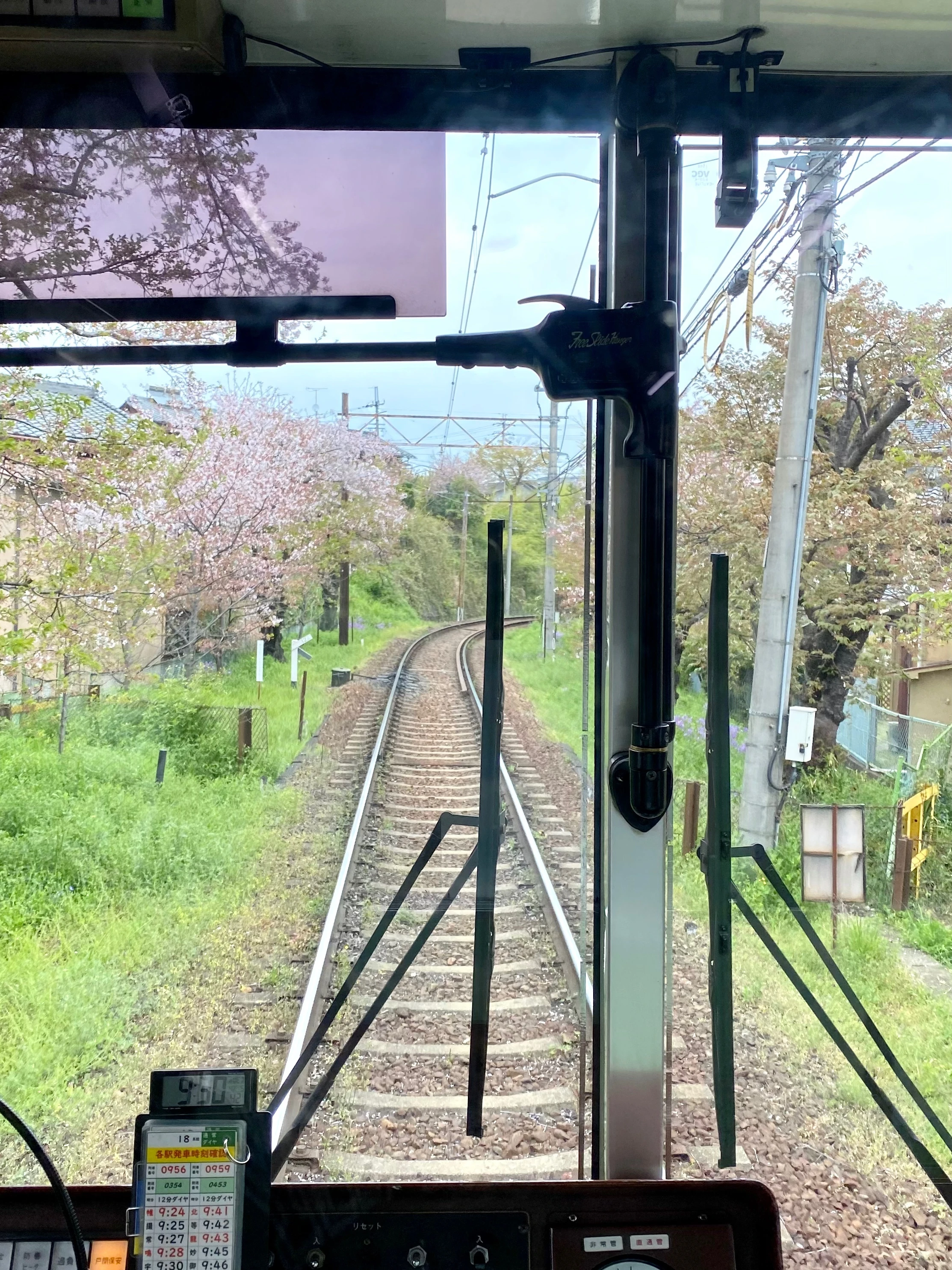 嵐電　京福電鉄線　桜　車窓