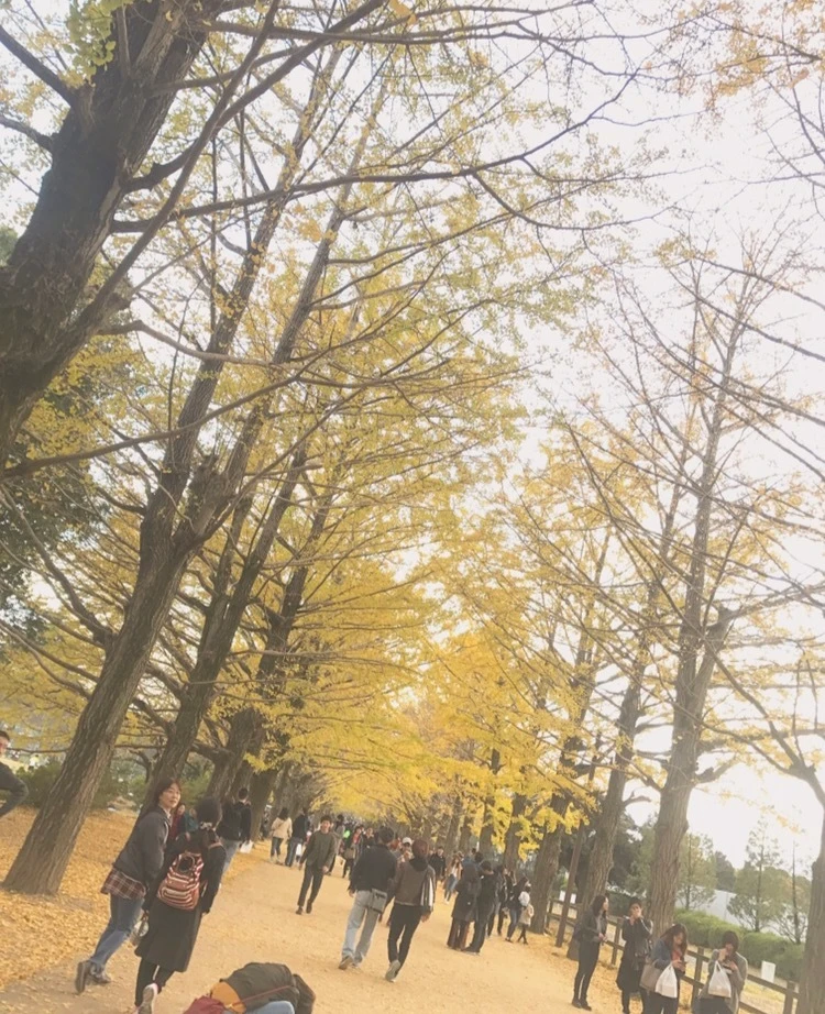 【都内で】秋を堪能！国営昭和記念公園の魅力♡_1_1